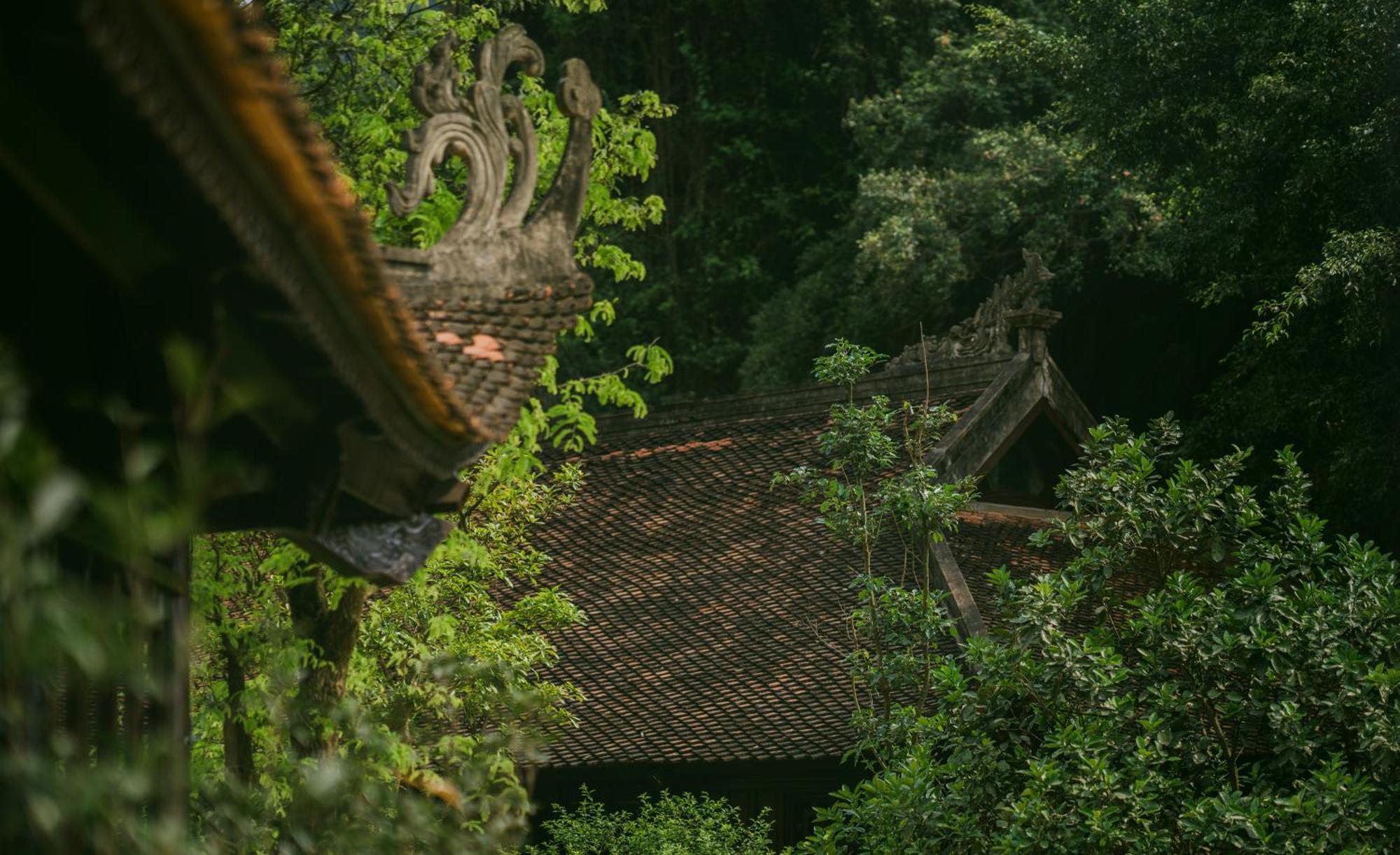 Готель Jiva Hoa Lu Retreat Ніньбінь Екстер'єр фото