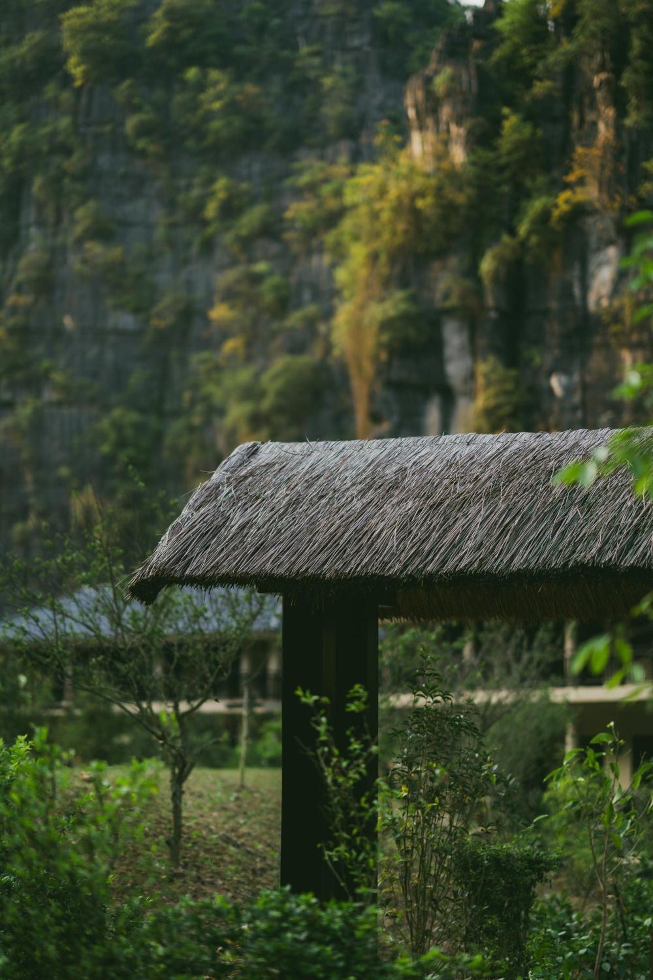 Готель Jiva Hoa Lu Retreat Ніньбінь Екстер'єр фото